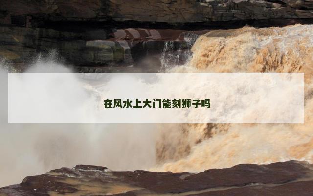 在风水上大门能刻狮子吗