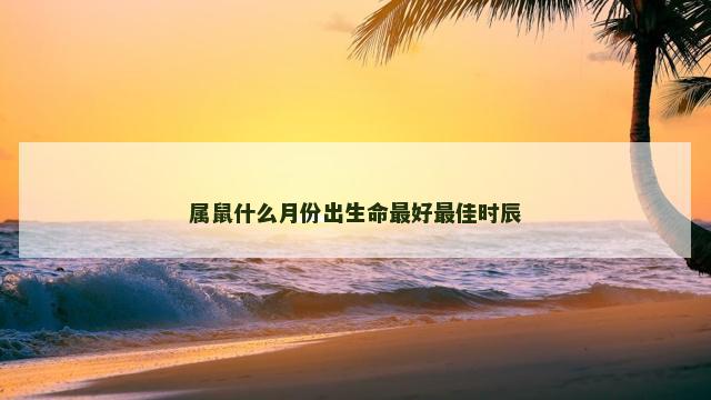 属鼠什么月份出生命最好最佳时辰