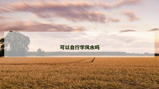 可以自行学风水吗