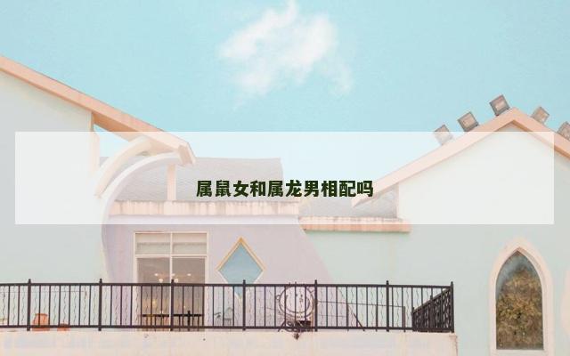 属鼠女和属龙男相配吗