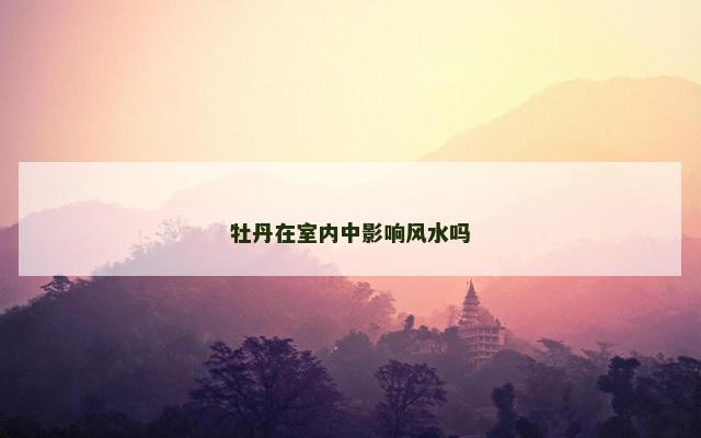 牡丹在室内中影响风水吗