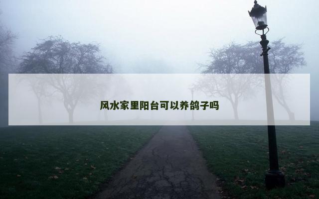 风水家里阳台可以养鸽子吗