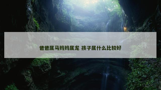 爸爸属马妈妈属龙 孩子属什么比较好