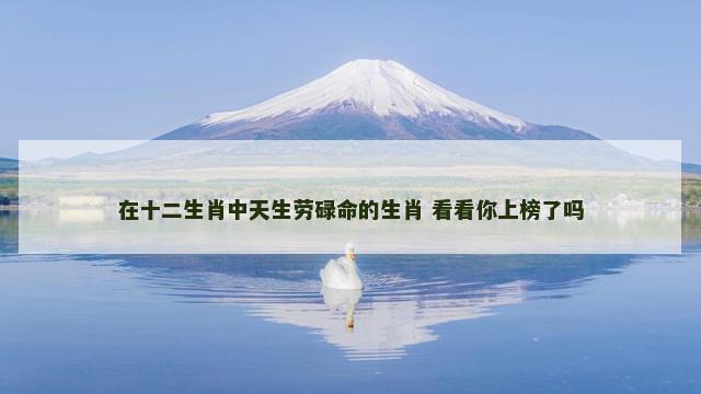 在十二生肖中天生劳碌命的生肖 看看你上榜了吗