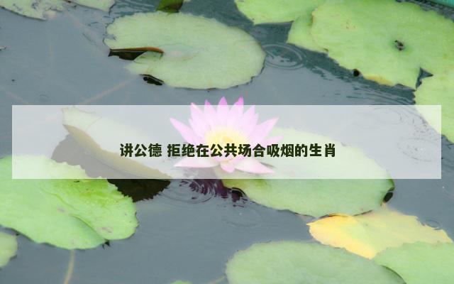 讲公德 拒绝在公共场合吸烟的生肖