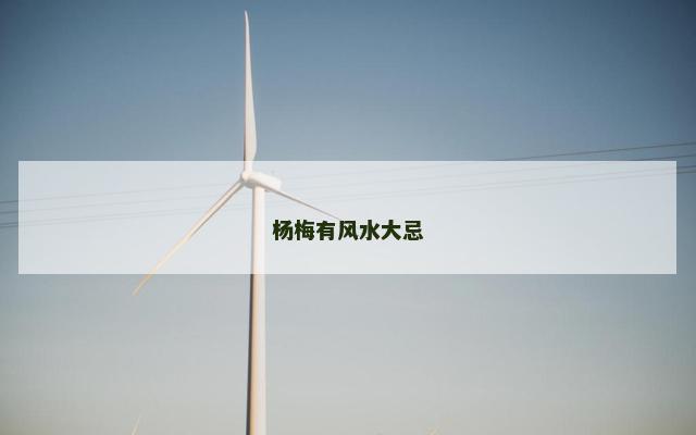 杨梅有风水大忌