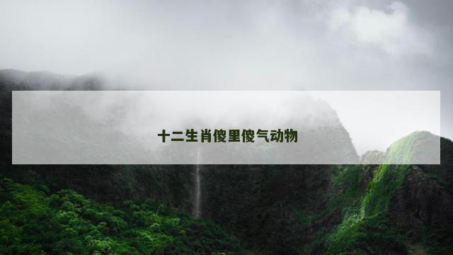 十二生肖傻里傻气动物