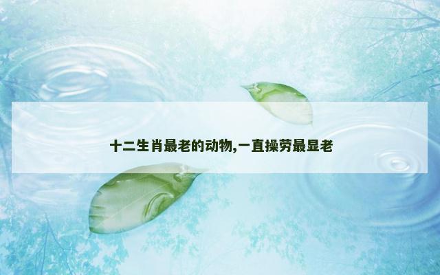 十二生肖最老的动物,一直操劳最显老