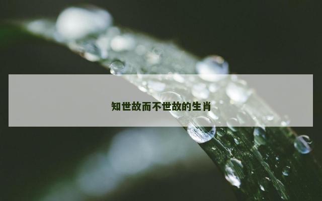 知世故而不世故的生肖
