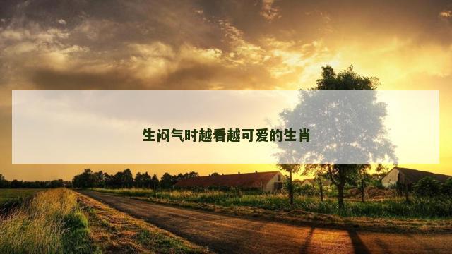 生闷气时越看越可爱的生肖