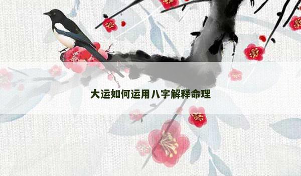 大运如何运用八字解释命理