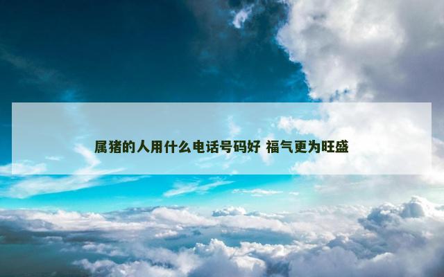 属猪的人用什么电话号码好 福气更为旺盛