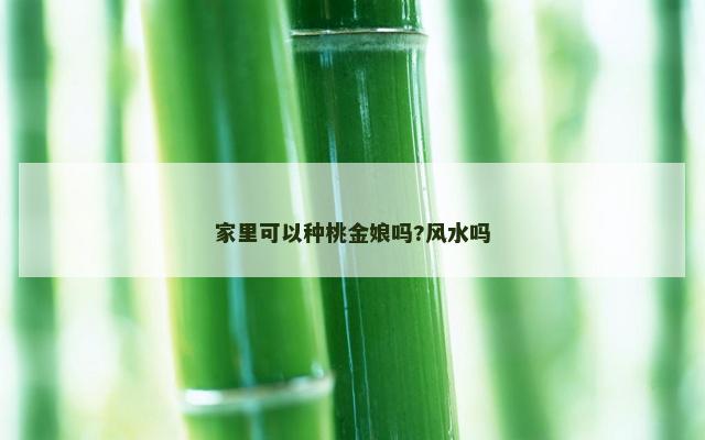 家里可以种桃金娘吗?风水吗