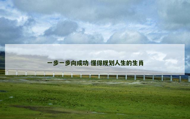 一步一步向成功 懂得规划人生的生肖