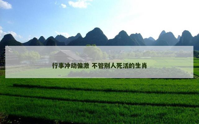 行事冲动偏激 不管别人死活的生肖