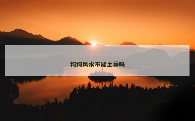 狗狗风水不能土葬吗