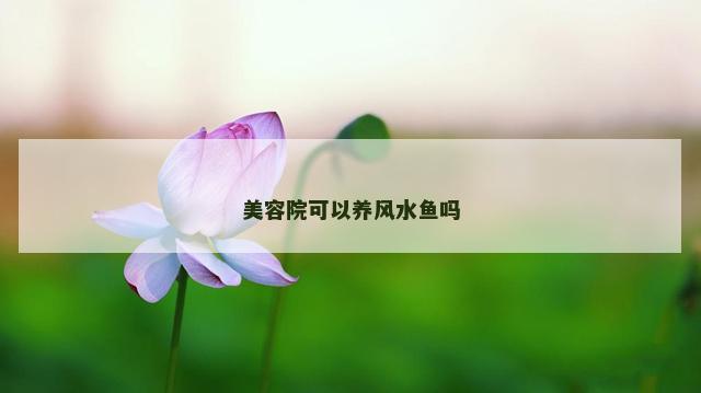 美容院可以养风水鱼吗