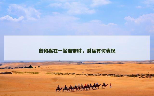 鼠和猴在一起谁带财，财运有何表现