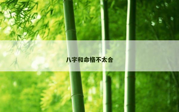 八字和命格不太合