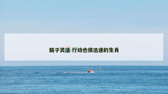 脑子灵活 行动也很迅速的生肖