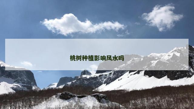 桃树种植影响风水吗