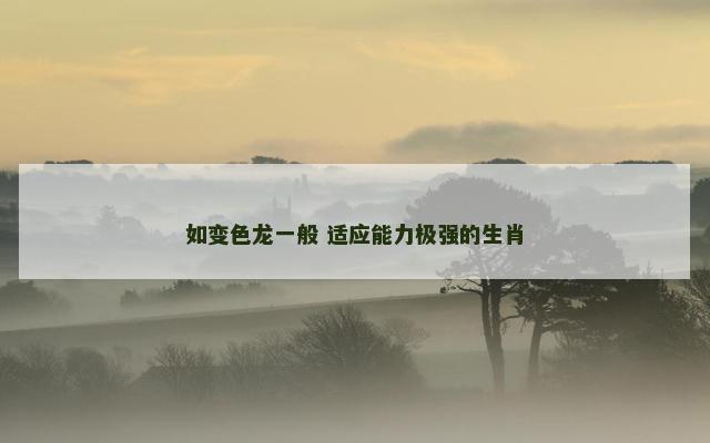 如变色龙一般 适应能力极强的生肖