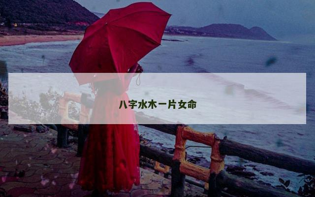 八字水木一片女命