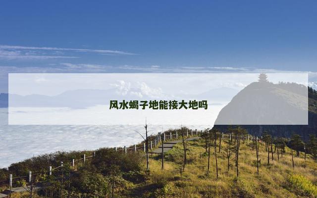 风水蝎子地能接大地吗