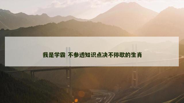 我是学霸 不参透知识点决不停歇的生肖