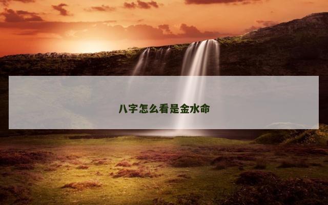 八字怎么看是金水命