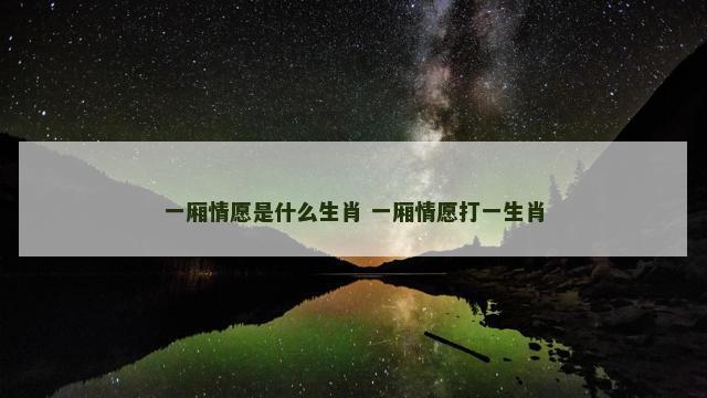 一厢情愿是什么生肖 一厢情愿打一生肖