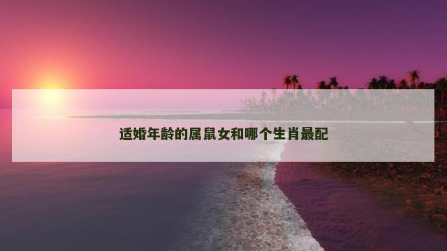适婚年龄的属鼠女和哪个生肖最配