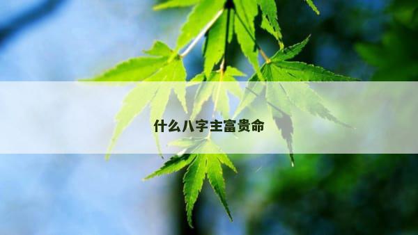 什么八字主富贵命