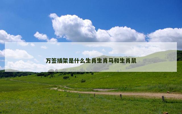 万签插架是什么生肖生肖马和生肖鼠
