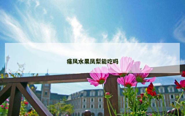 痛风水果凤梨能吃吗