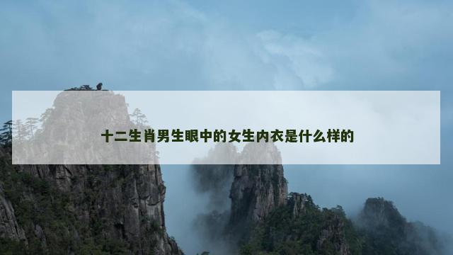 十二生肖男生眼中的女生内衣是什么样的