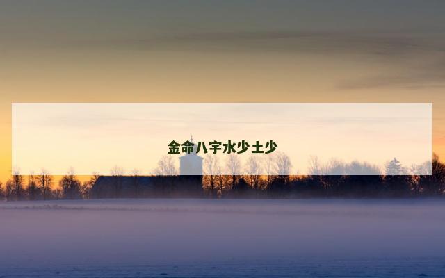 金命八字水少土少