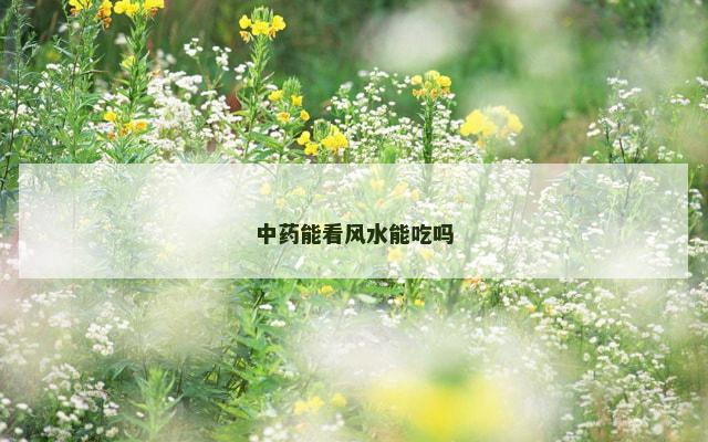 中药能看风水能吃吗