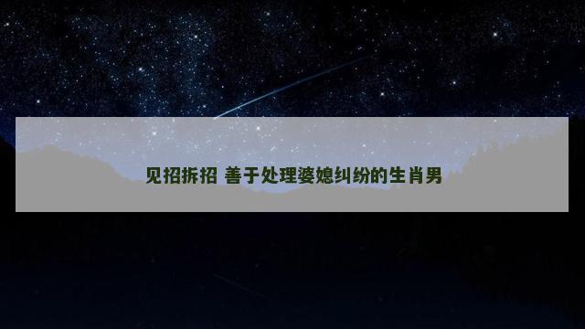 见招拆招 善于处理婆媳纠纷的生肖男