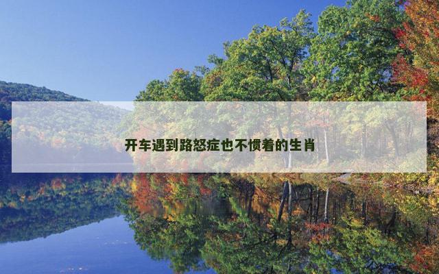 开车遇到路怒症也不惯着的生肖