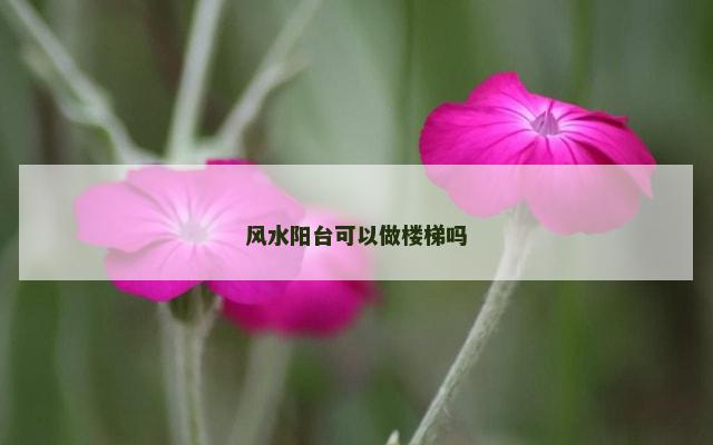 风水阳台可以做楼梯吗