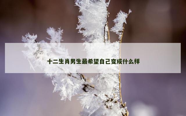十二生肖男生最希望自己变成什么样