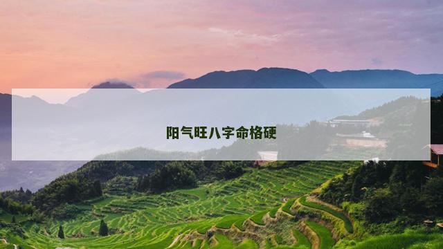 阳气旺八字命格硬