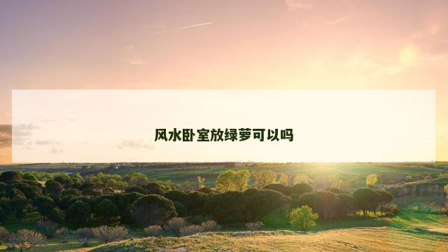风水卧室放绿萝可以吗