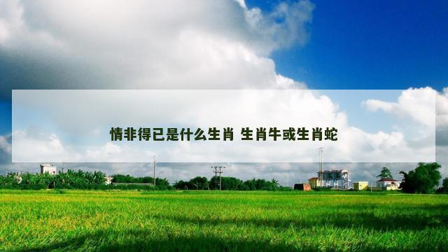 情非得已是什么生肖 生肖牛或生肖蛇