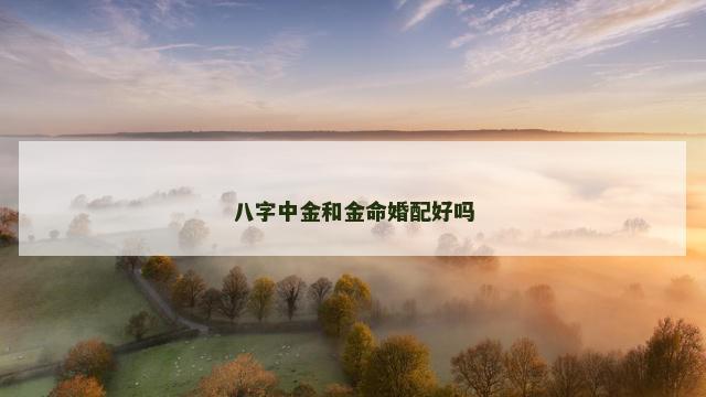 八字中金和金命婚配好吗