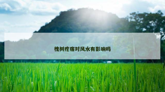 槐树疙瘩对风水有影响吗