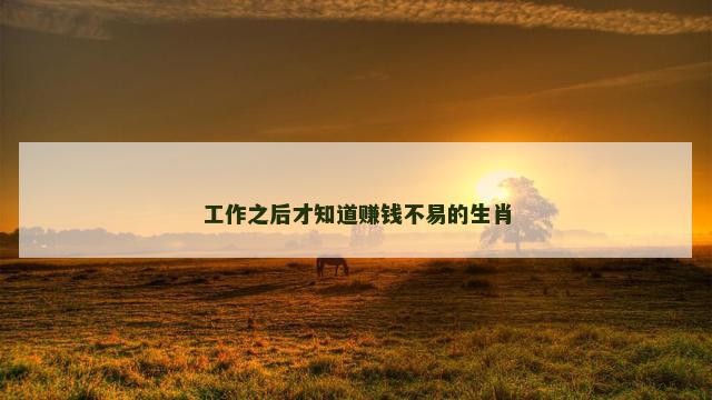 工作之后才知道赚钱不易的生肖