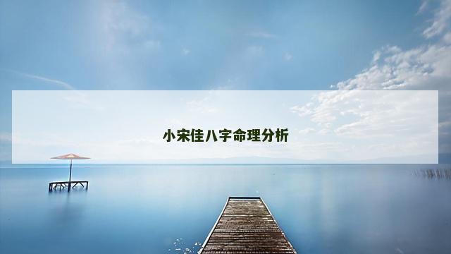小宋佳八字命理分析