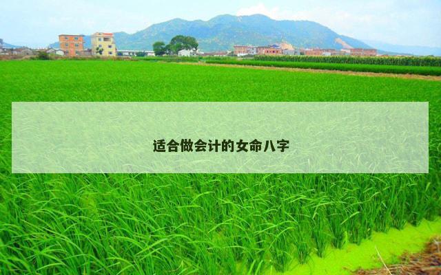 适合做会计的女命八字